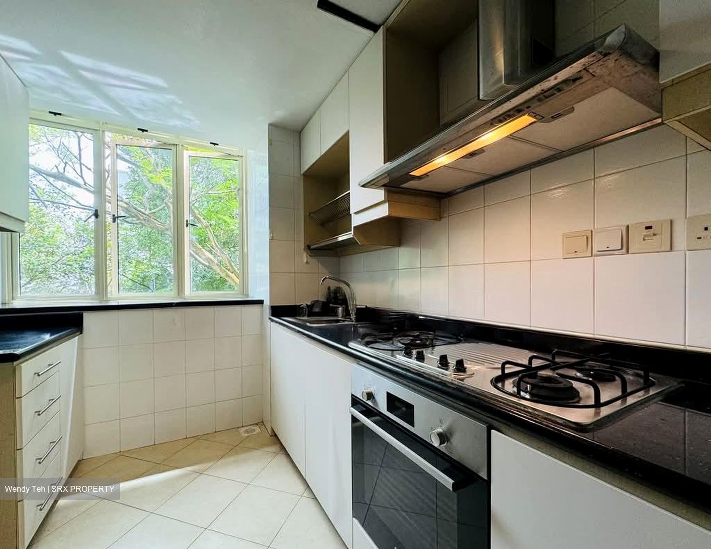 Jervois Regency (D10), Apartment #576501221